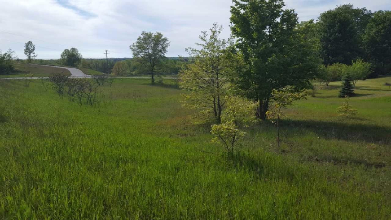 Wilson Road Mears, MI 49436 - Photo 2 of 8 2