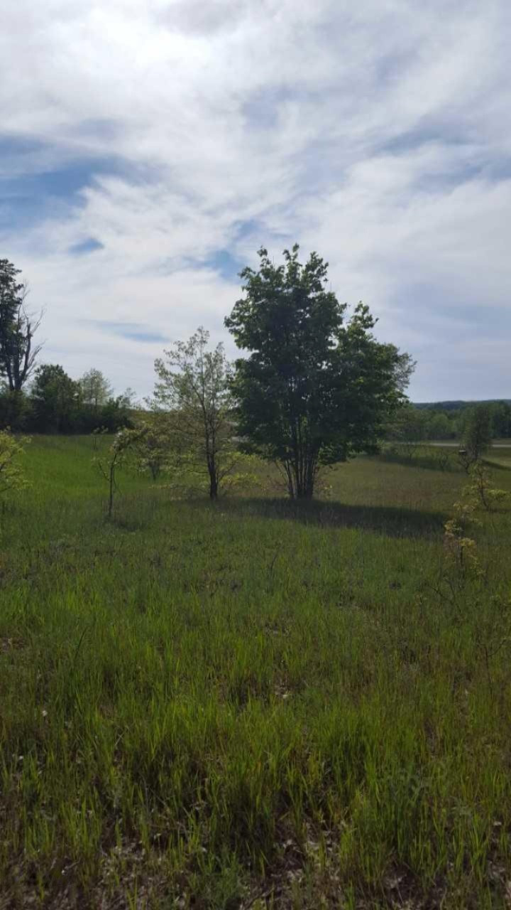 Wilson Road Mears, MI 49436 - Photo 3 of 8 1