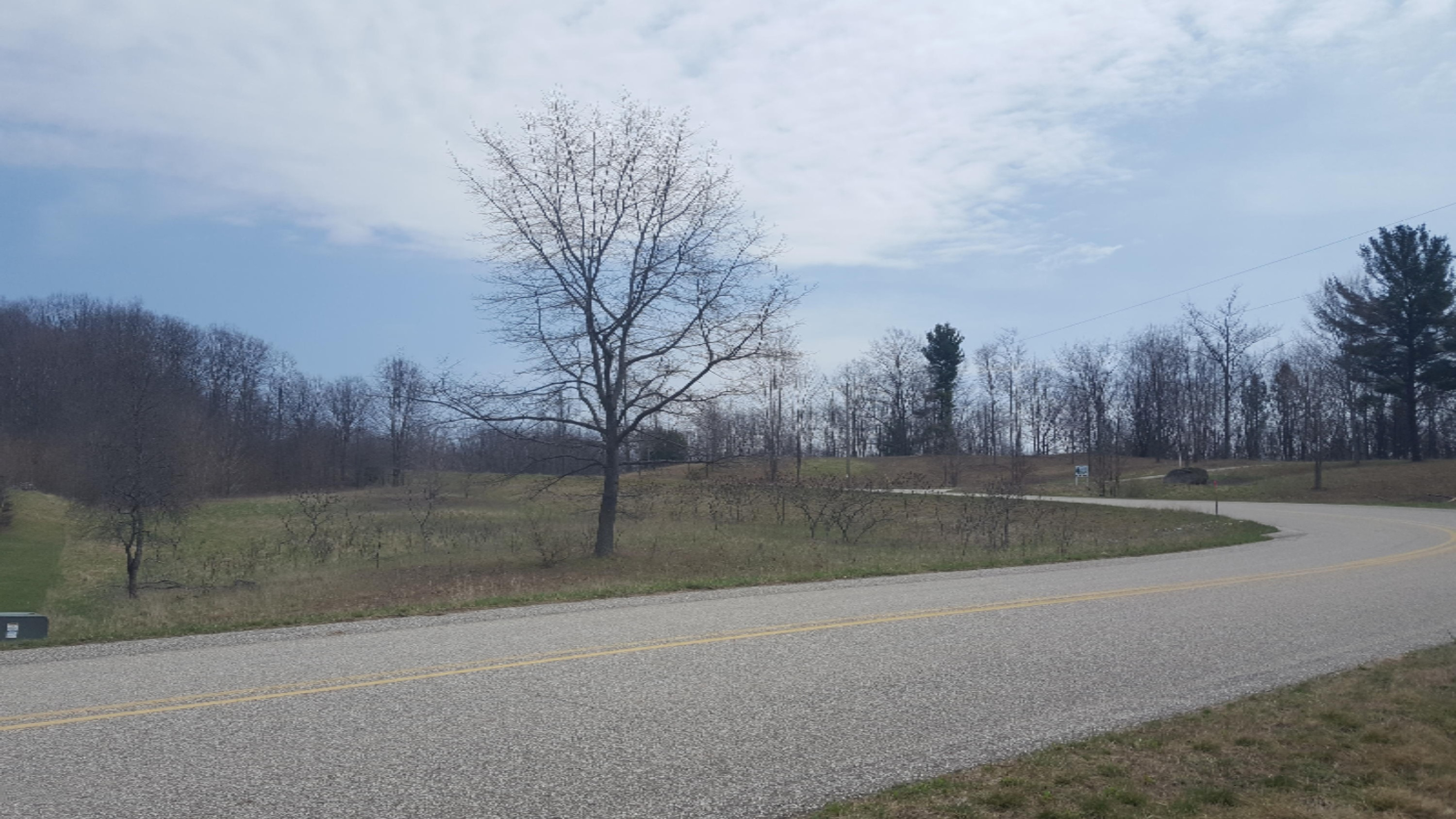 Wilson Road Mears, MI 49436 - Photo 6 of 8 15