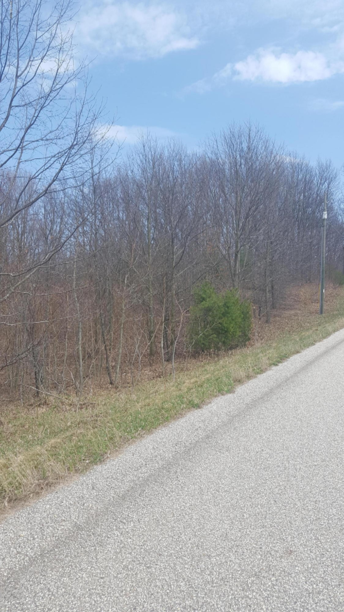 Wilson Road Mears, MI 49436 - Photo 8 of 8 20