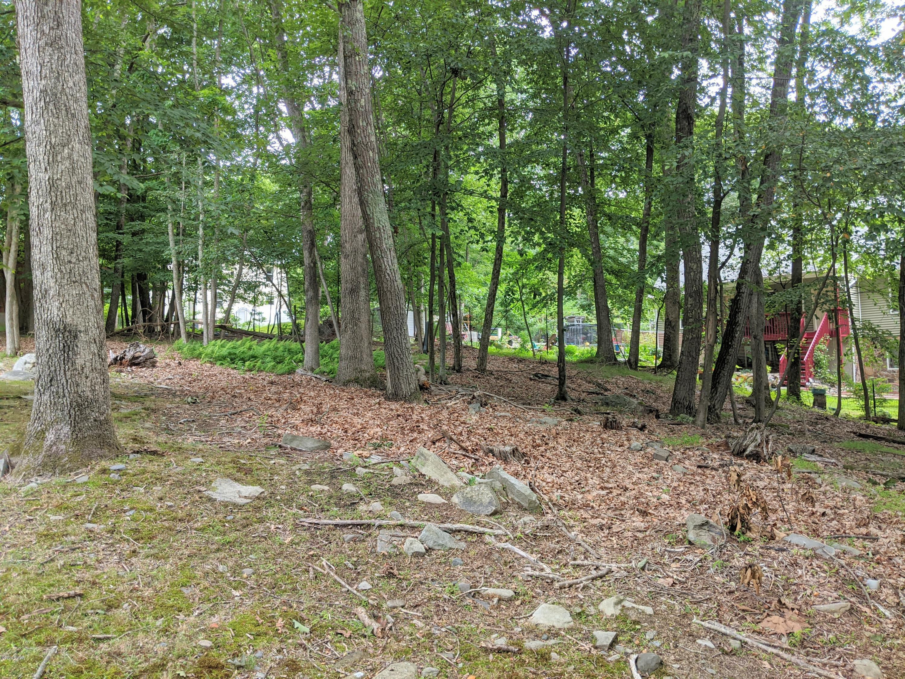 Lot 37 Heather Hill Road Dingmans Ferry, PA 18328 - Photo 2 of 5