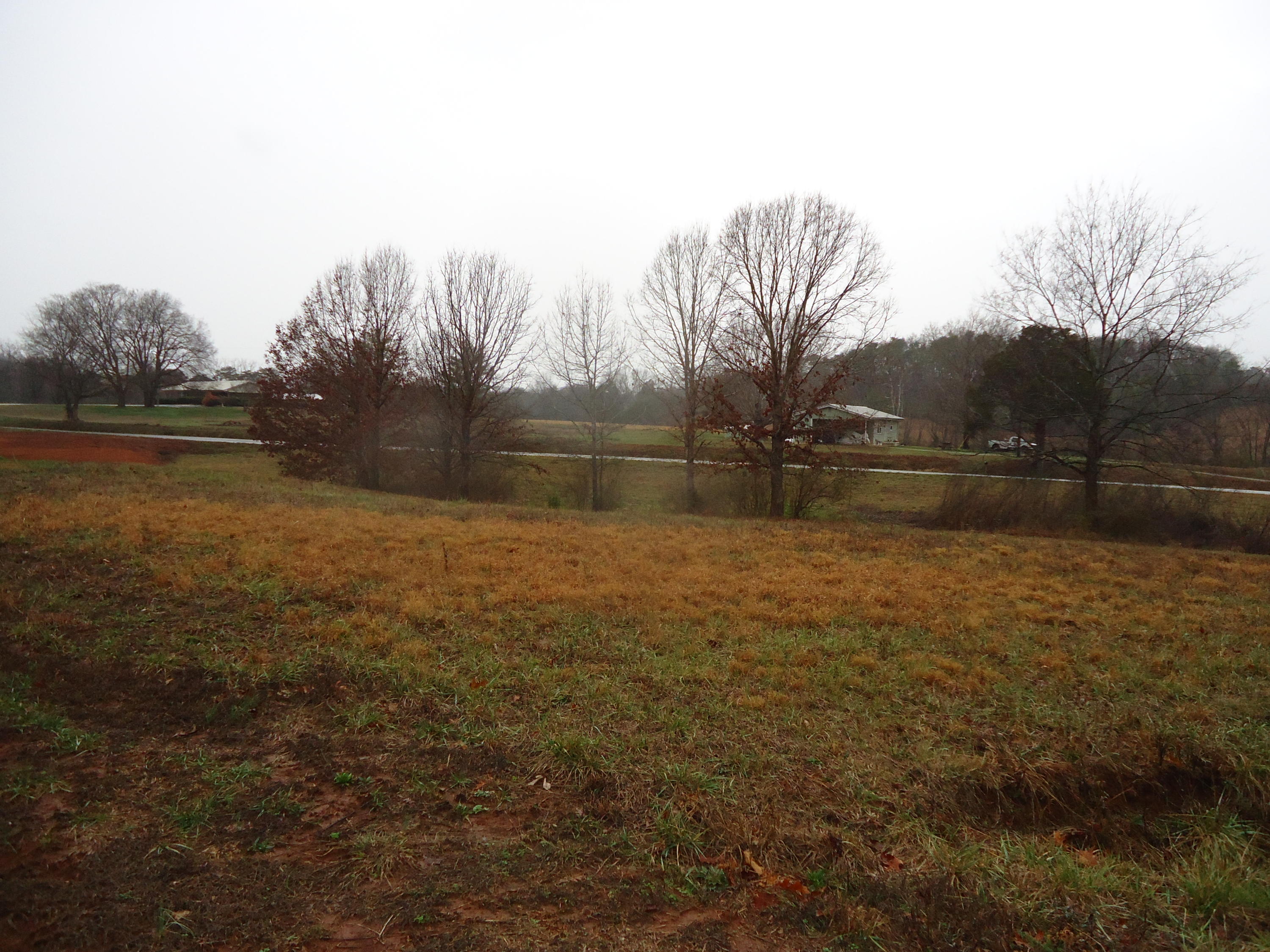 Mcclung Road Madisonville, TN 37354 - Photo 6 of 6 DSC01481