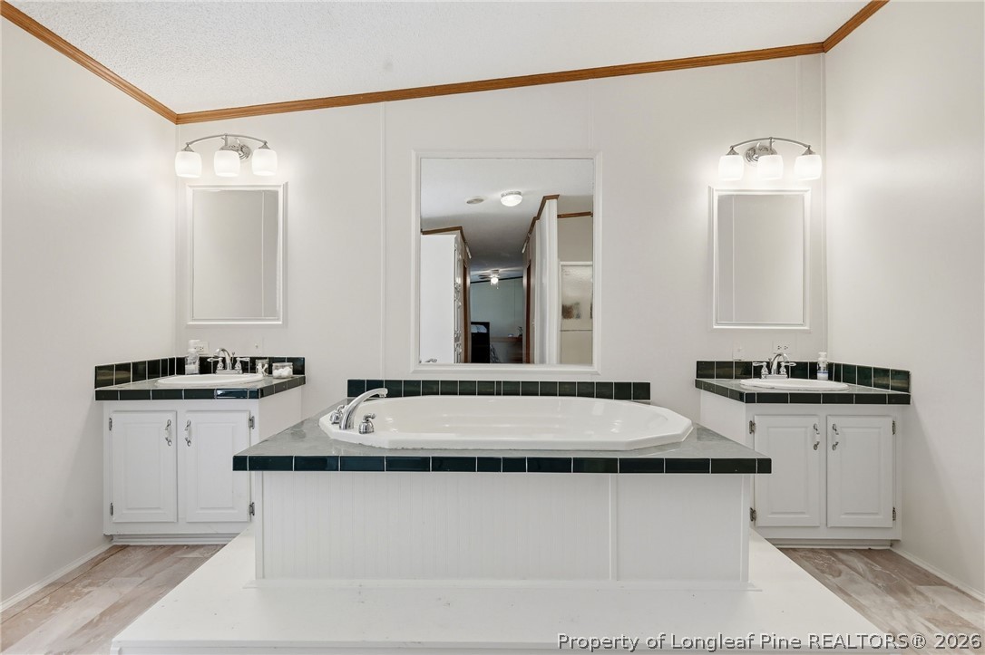 10400 Ruth Vinson Road Autryville, NC 28318 - Photo 32 of 49 a bathroom with a sink and a mirror