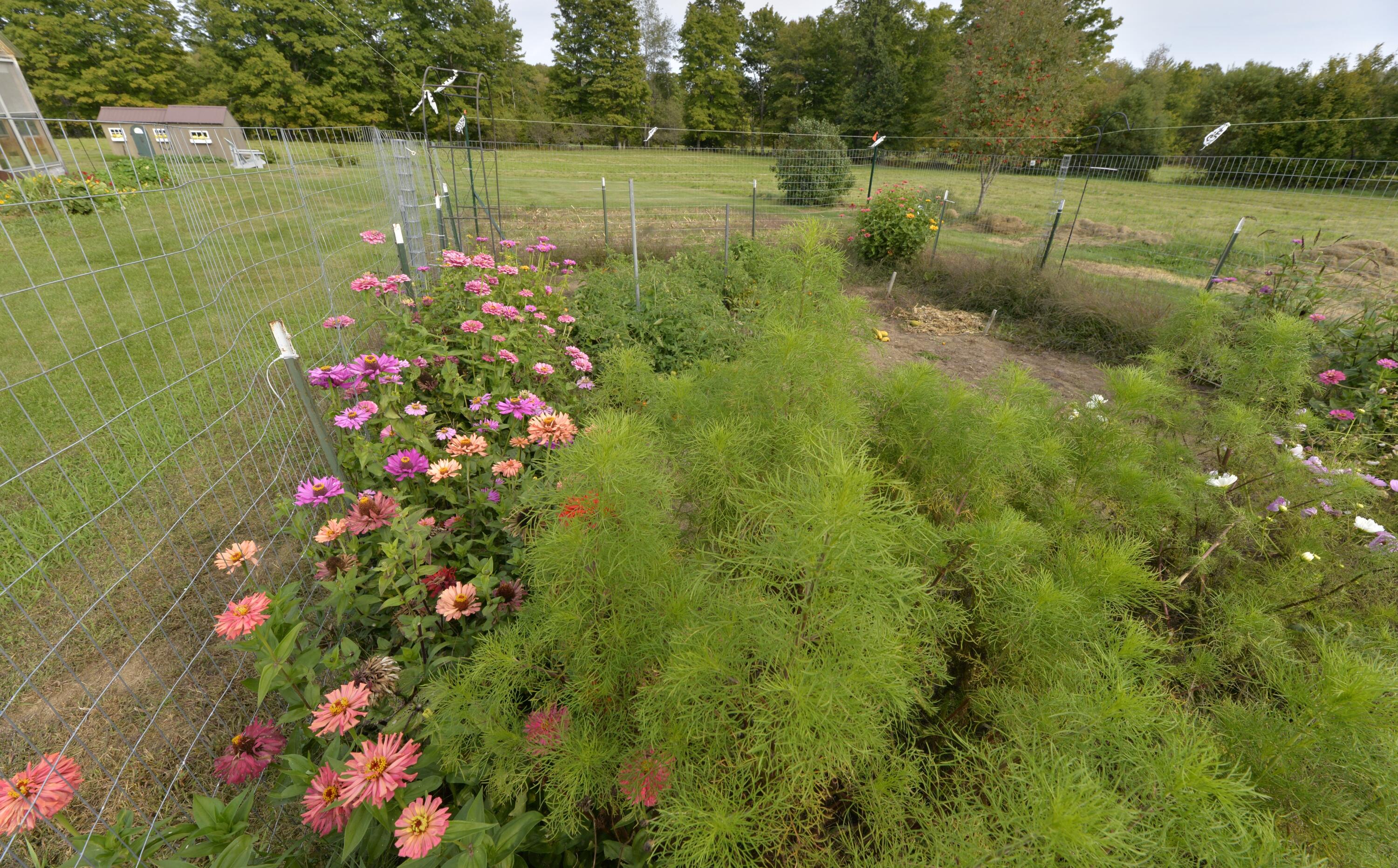 1145 South Solon Road Solon, ME 04979 - Photo 40 of 67 Gardens2