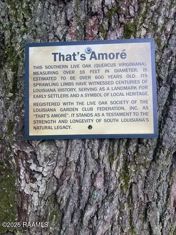 $290,000 | 101 University Place, Eunice, LA 70535