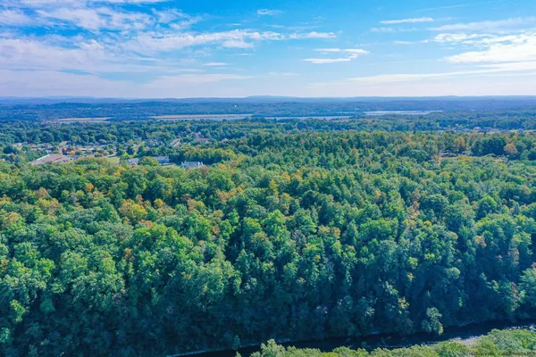 a view of a city with lush green forest