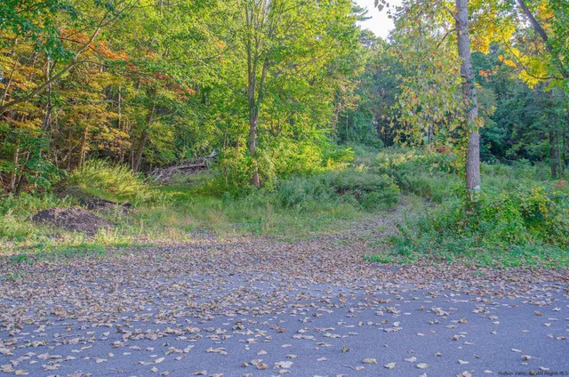 a view of a yard with a tree