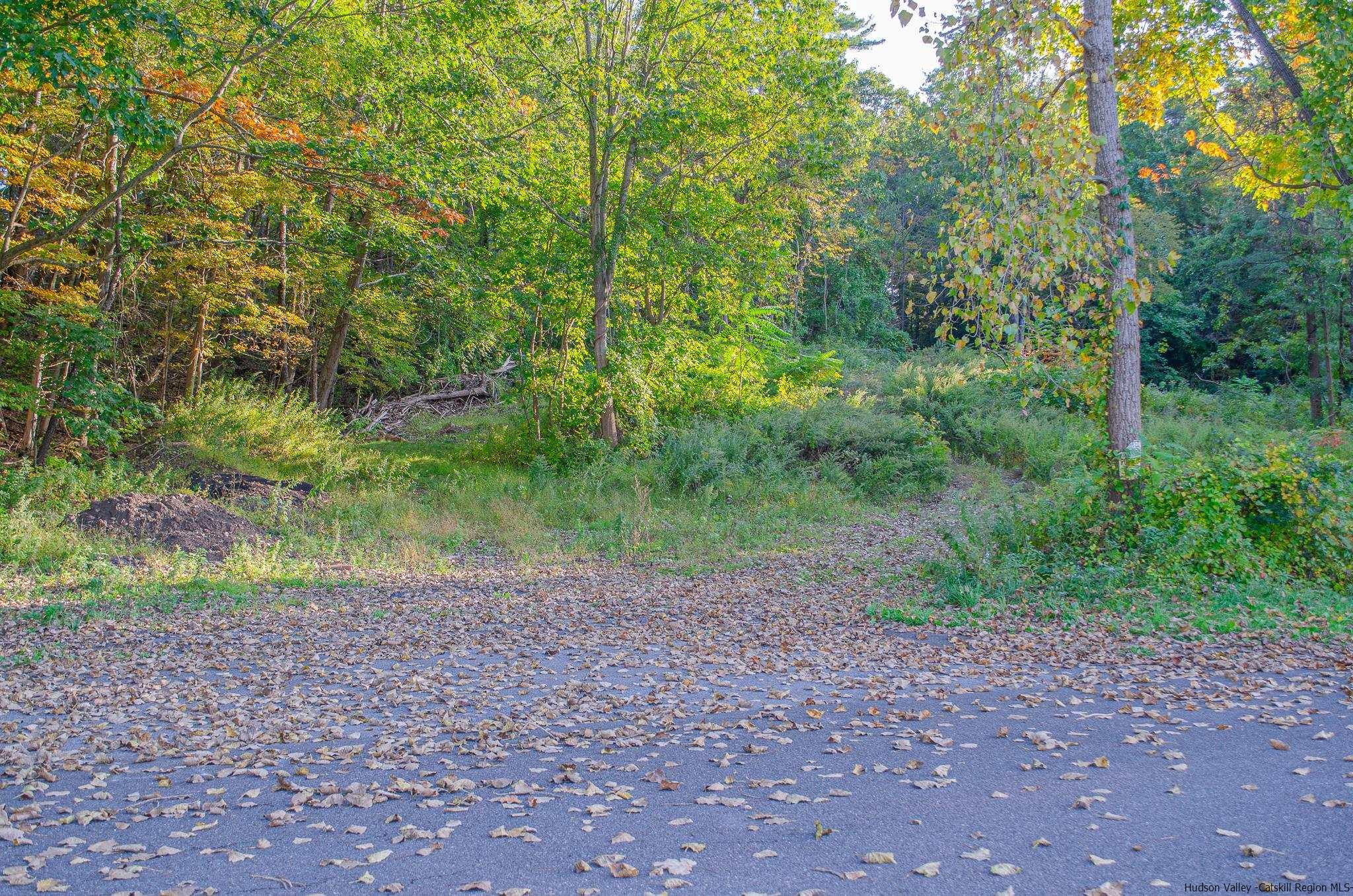 Tbd Tiger Maple Lane Saugerties, NY 12477 - Photo 6 of 11 a view of a yard with a tree