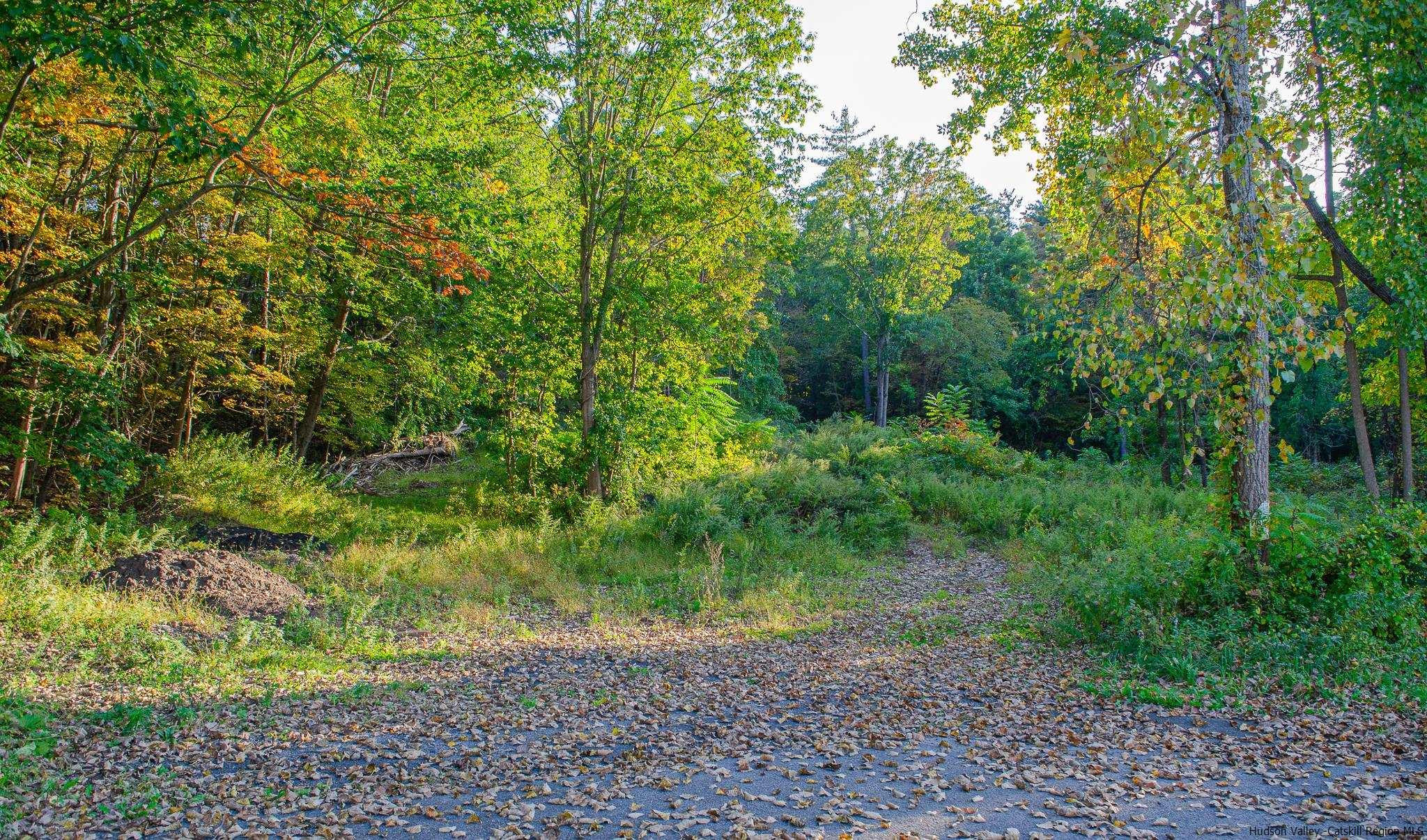 Tbd Tiger Maple Lane Saugerties, NY 12477 - Photo 7 of 11 a view of a yard with plants and large trees