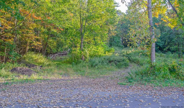 a big yard with lots of green space and deers
