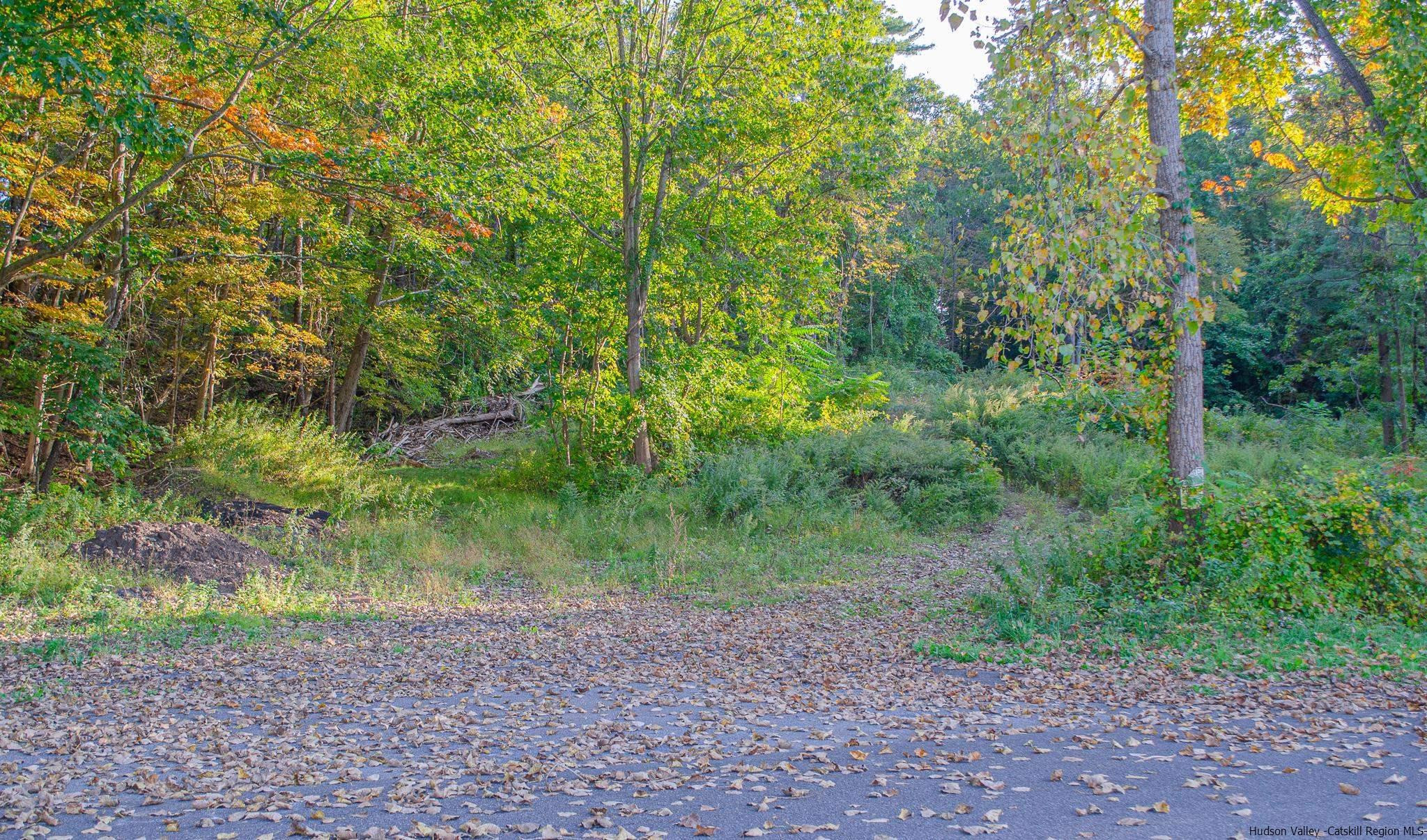 Tbd Tiger Maple Lane Saugerties, NY 12477 - Photo 8 of 11 a big yard with lots of green space and deers
