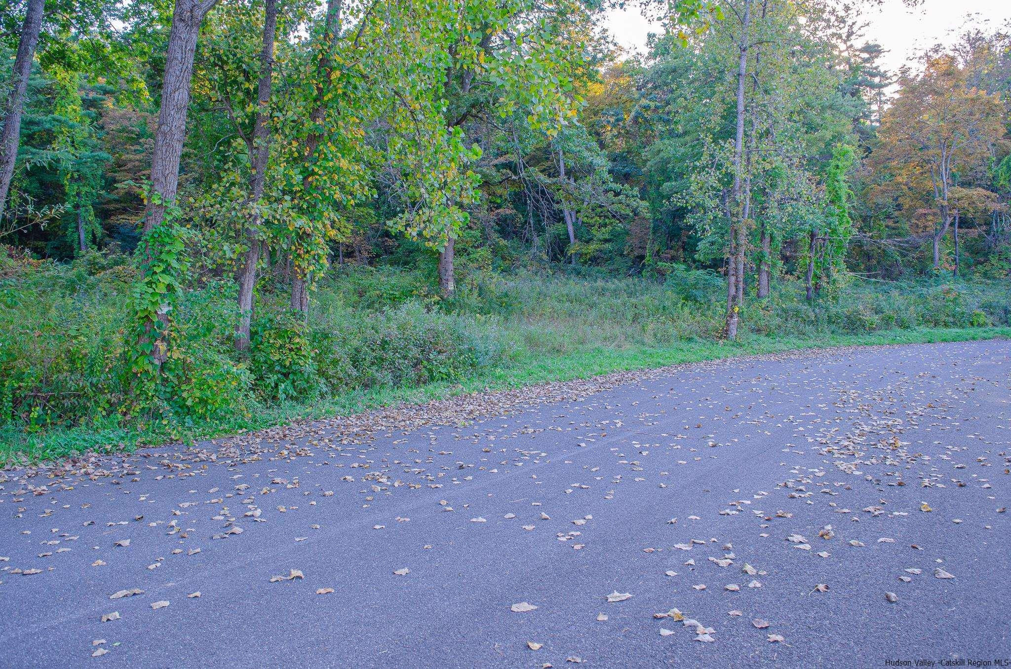 Tbd Tiger Maple Lane Saugerties, NY 12477 - Photo 9 of 11 a view of a field with trees in the background