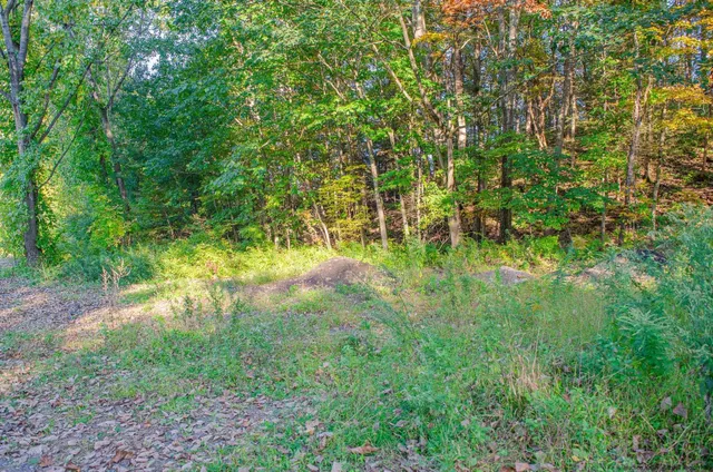 a view of yard with green space