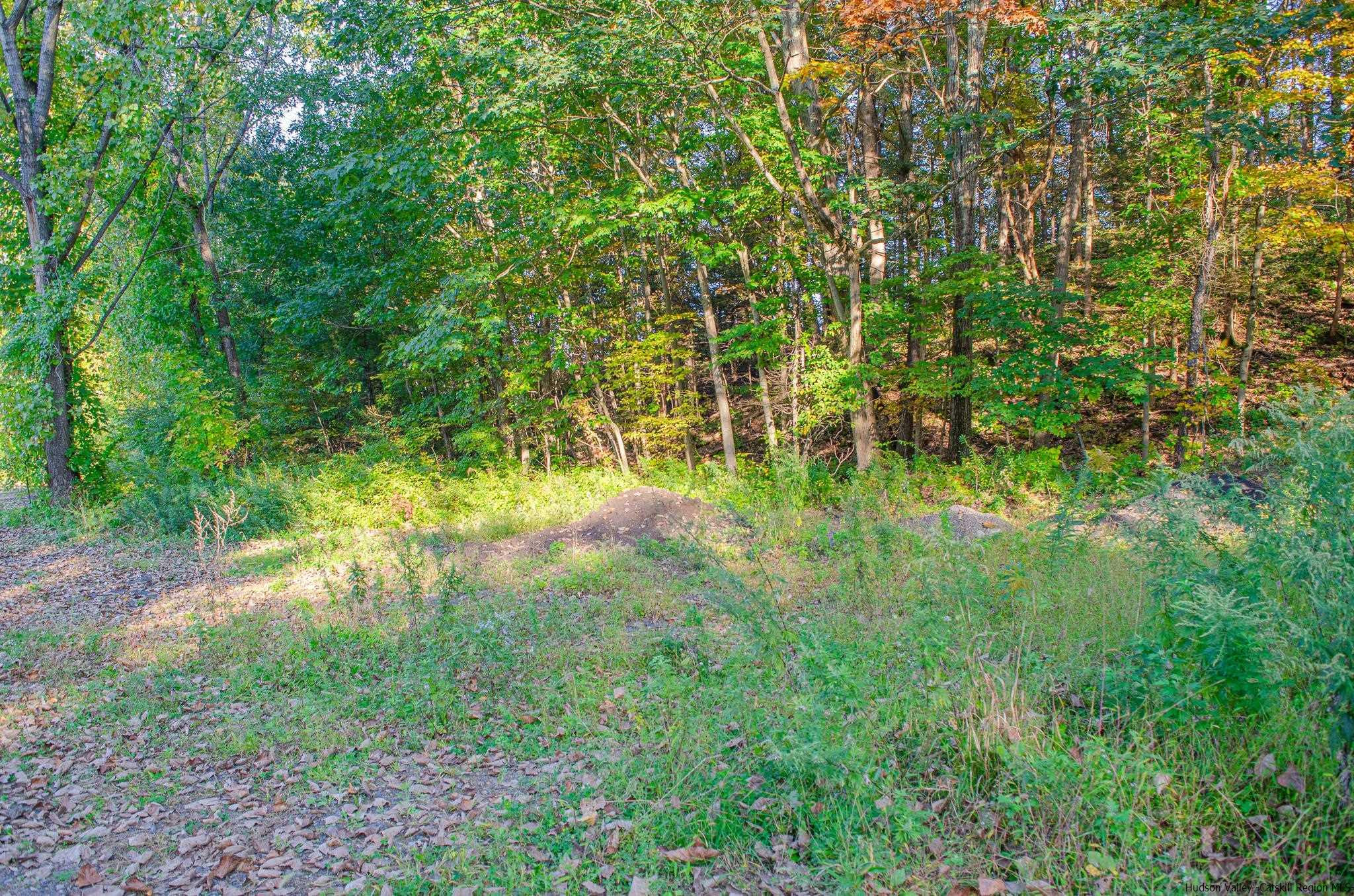 Tbd Tiger Maple Lane Saugerties, NY 12477 - Photo 10 of 11 a view of yard with green space