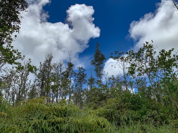 5694 Po'ouli Road Keaau, HI 96749 - Photo 1 of 6 Gallery Image 1