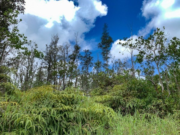 5694 Po'ouli Road Keaau, HI 96749 - Photo 3 of 6 Gallery Image 3