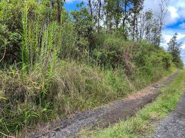 5694 Po'ouli Road Keaau, HI 96749 - Photo 5 of 6 Gallery Image 5