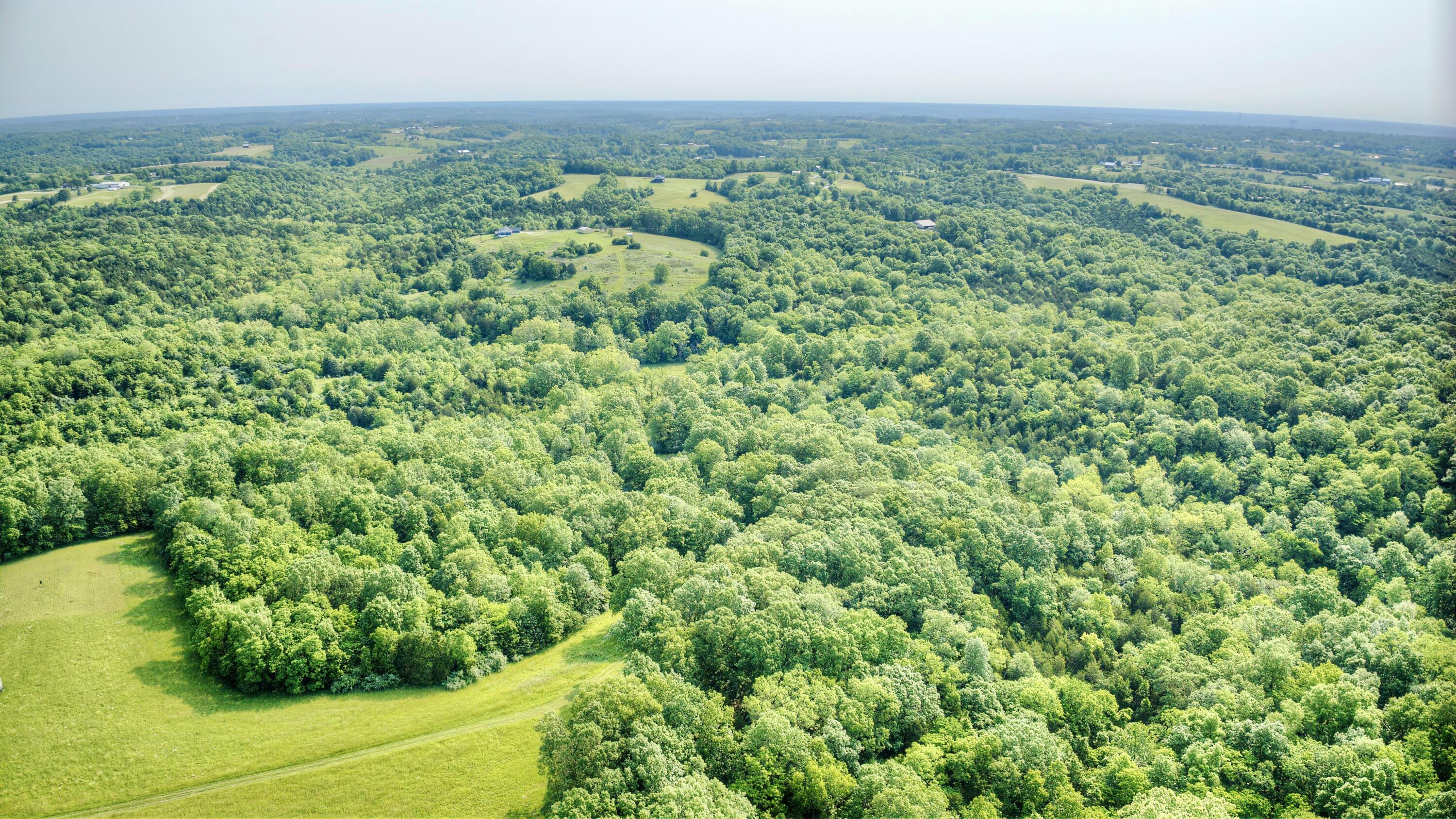 0 Peach Grove Road California, KY 41007 - Photo 12 of 22 10