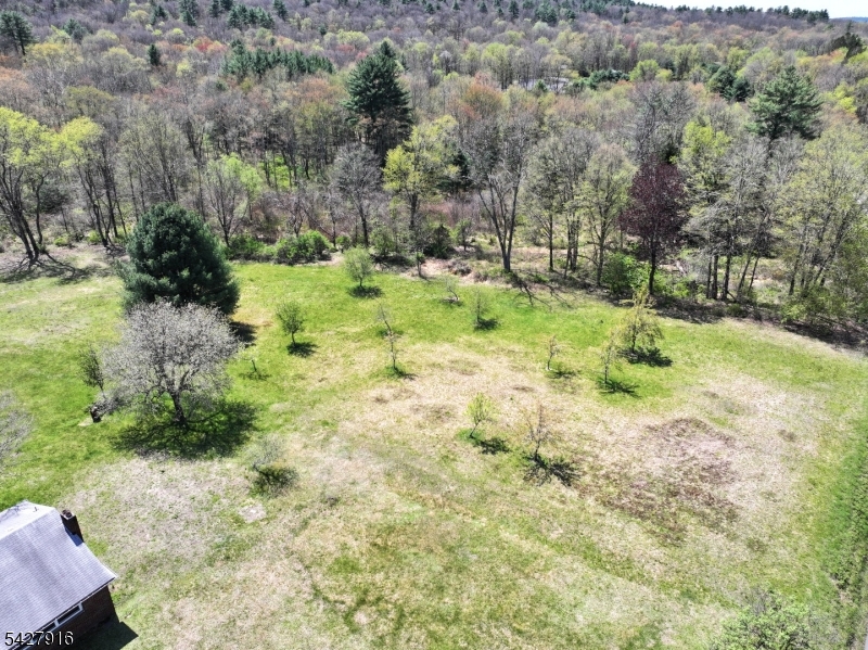 217 River Road Montague, NJ 07827 - Photo 31 of 38