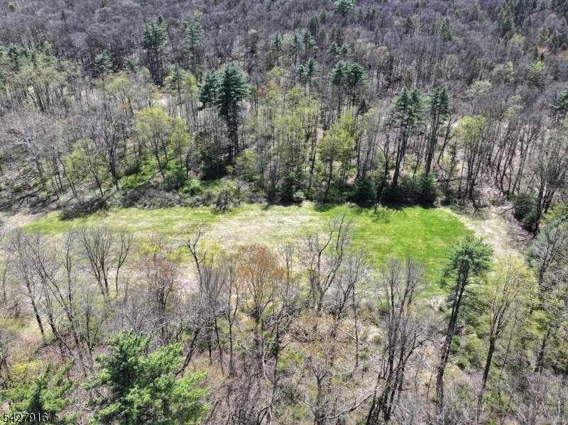 217 River Road Montague, NJ 07827 - Photo 6 of 38