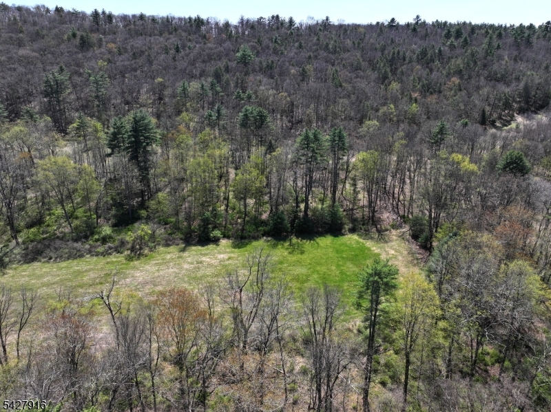 217 River Road Montague, NJ 07827 - Photo 7 of 38