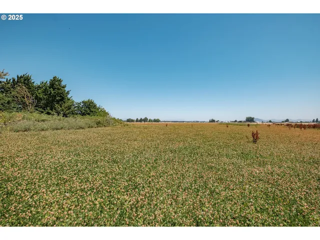 a view of an ocean and beach