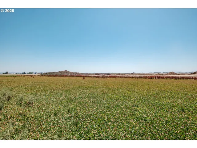 a view of an ocean and beach