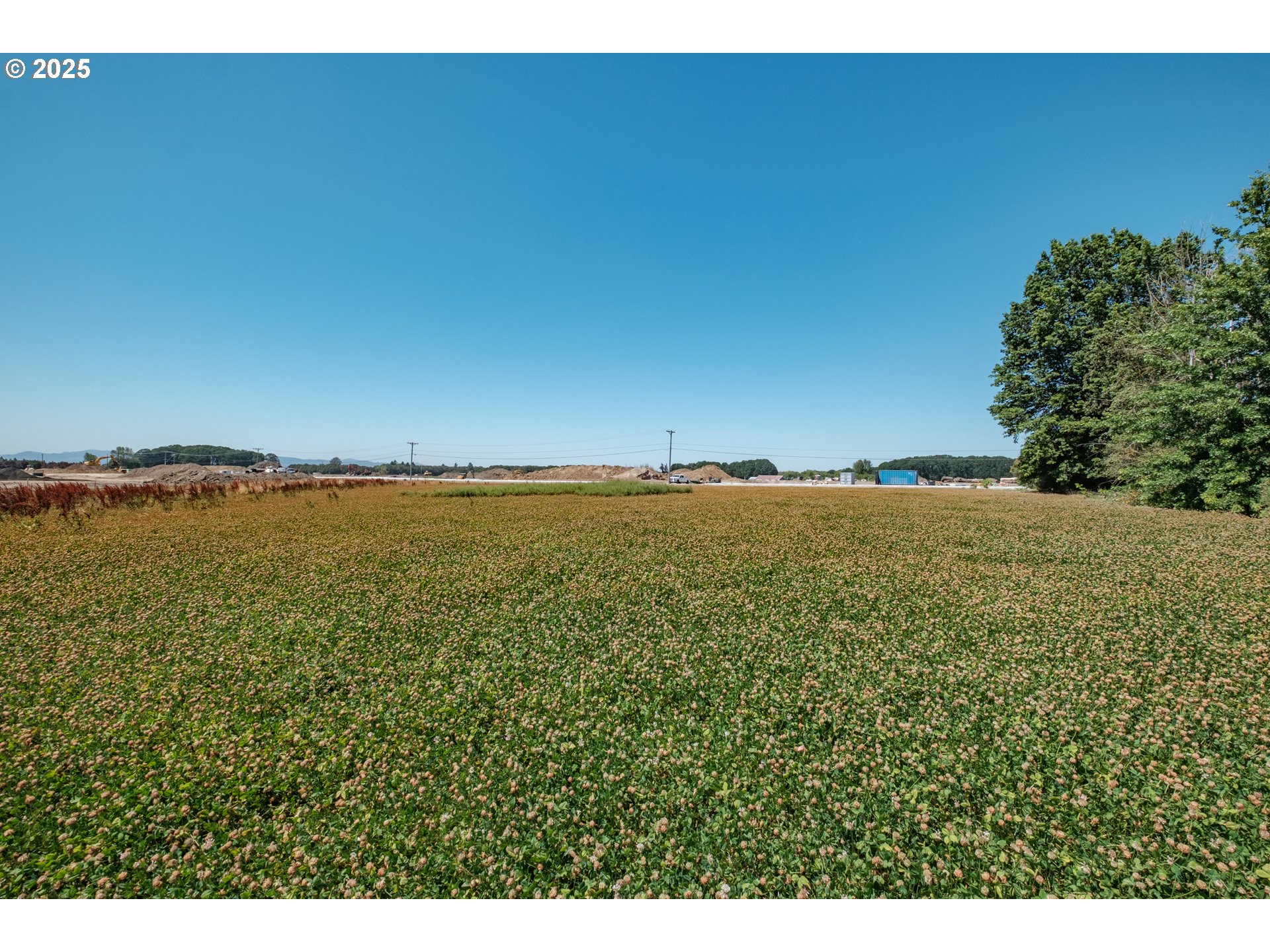 1132 Ellingson Road Southeast Albany, OR 97322 - Photo 16 of 25