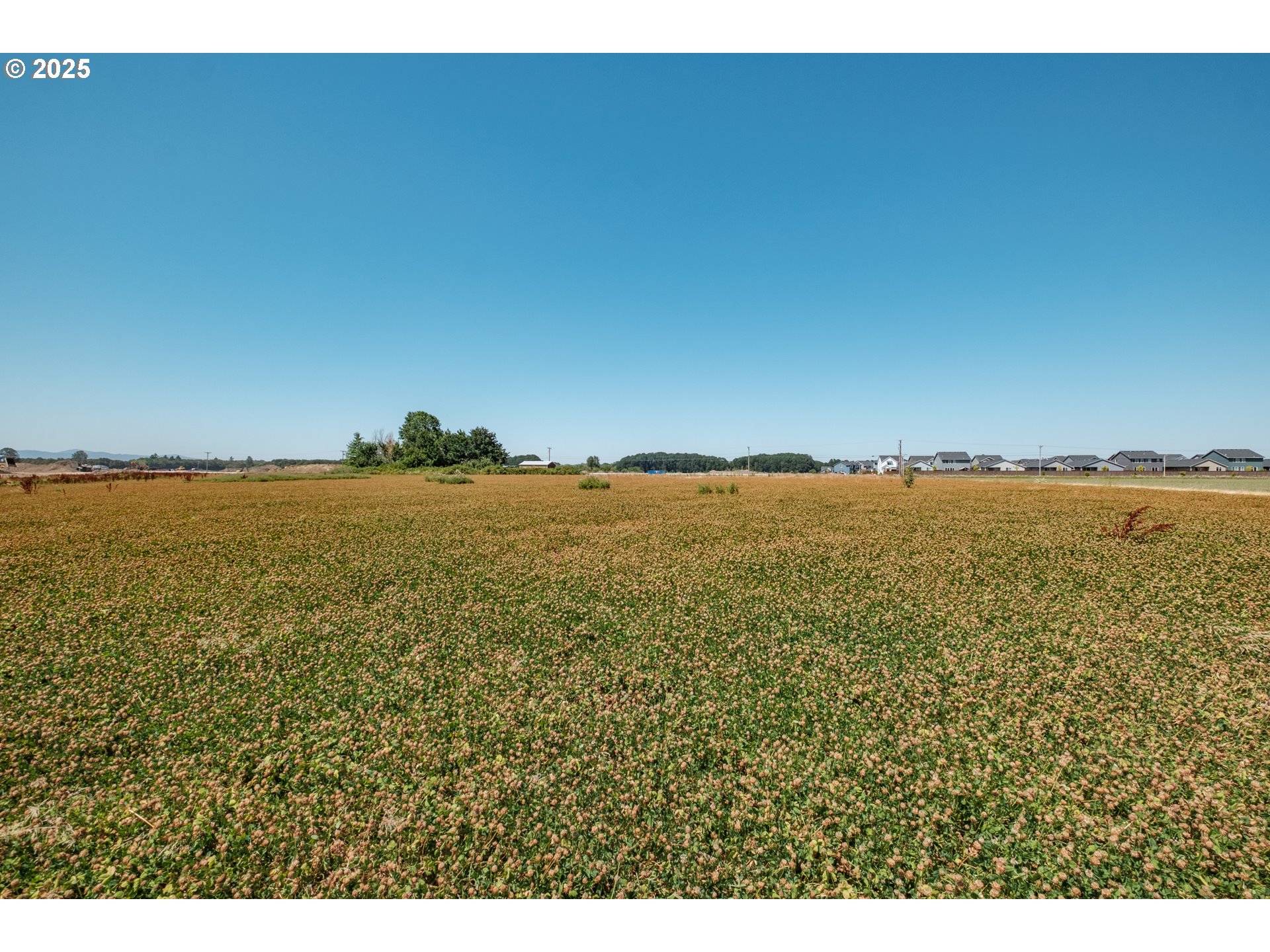 1132 Ellingson Road Southeast Albany, OR 97322 - Photo 17 of 25