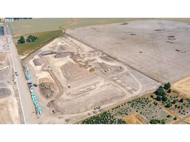 a black and white photo of a beach