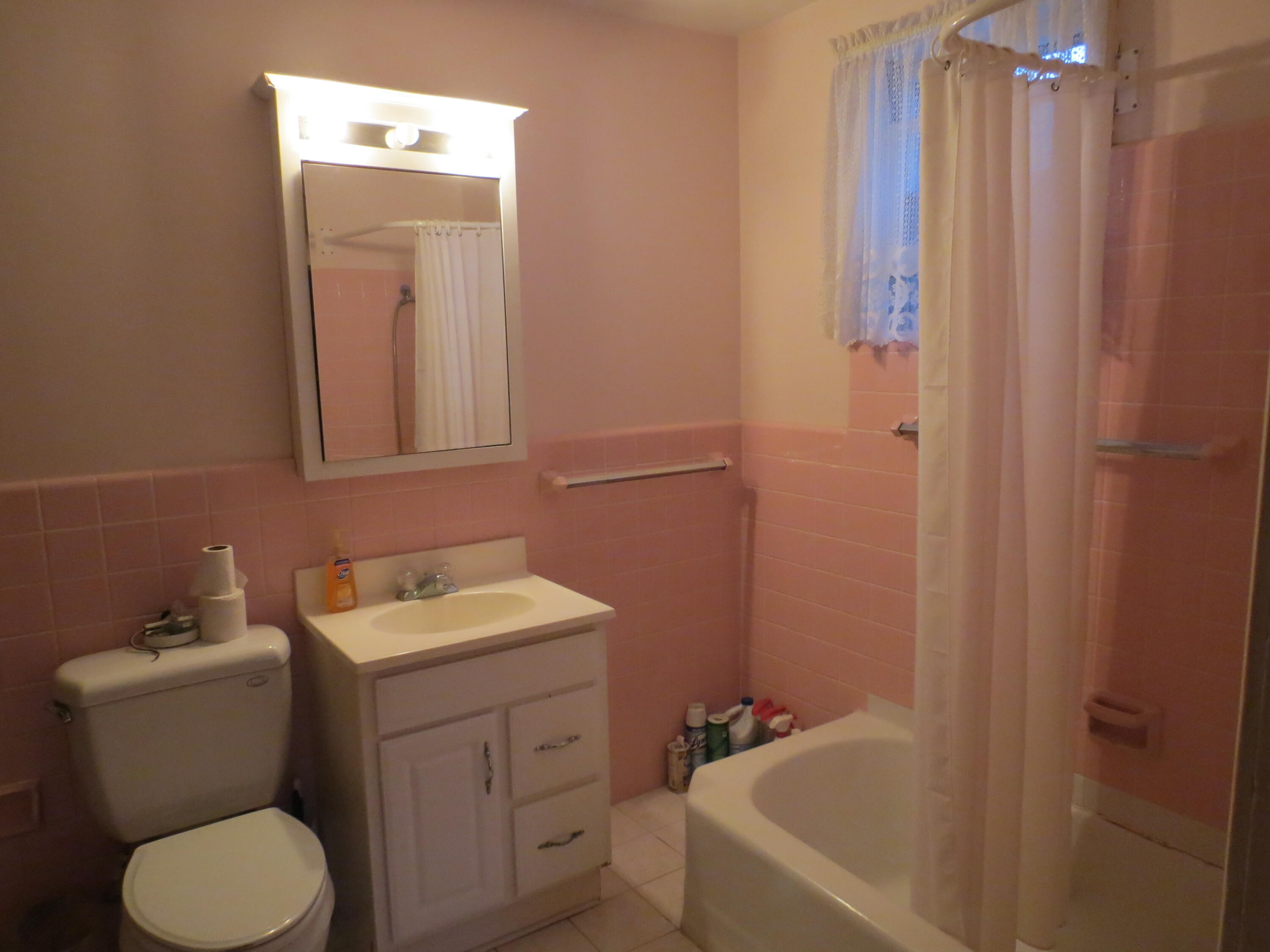 5331 Stepladder Road Parma, MI 49269 - Photo 28 of 43 Main floor bathroom