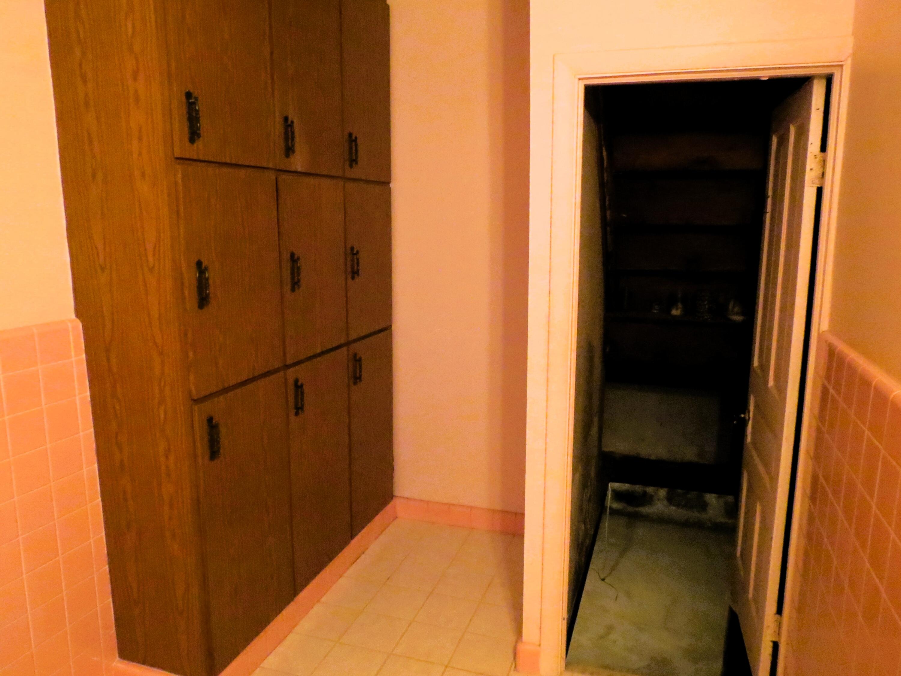 5331 Stepladder Road Parma, MI 49269 - Photo 30 of 43 Storage and steps to basement