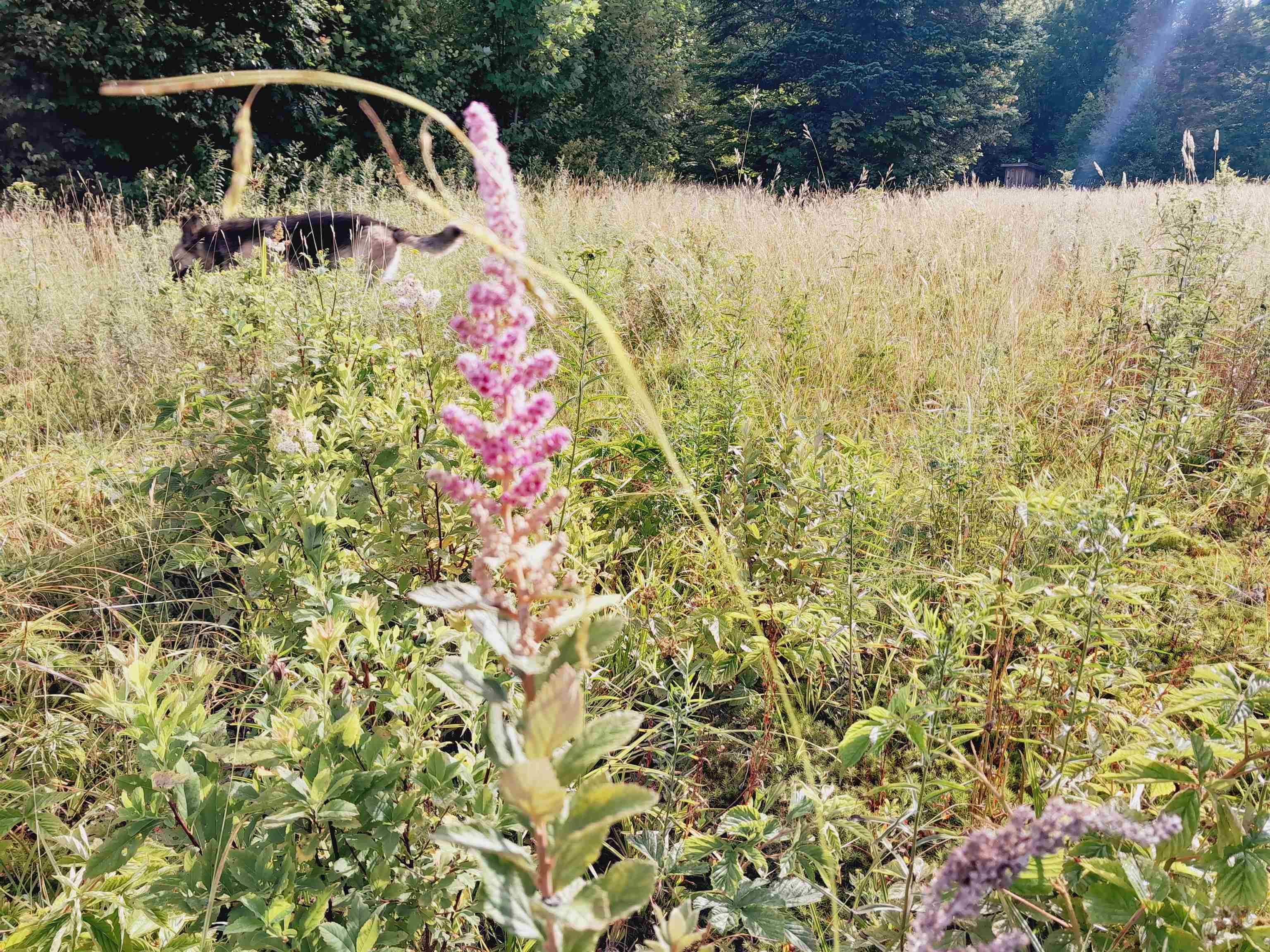399 Dunbar Road Sheffield, VT 05839 - Photo 42 of 60 Gallery Image 42