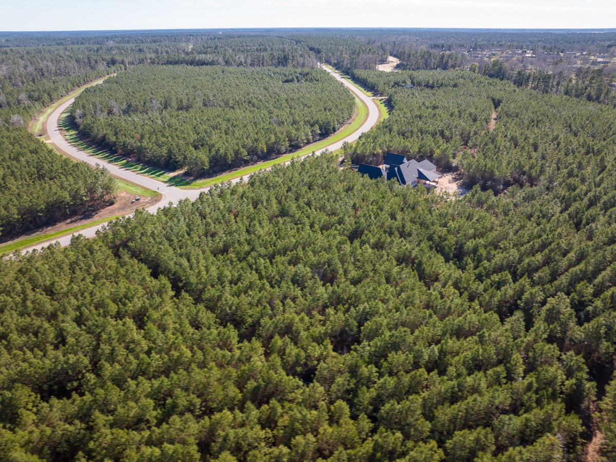 15715 Ridge Rock Road Willis, TX 77378 - Photo 11 of 14