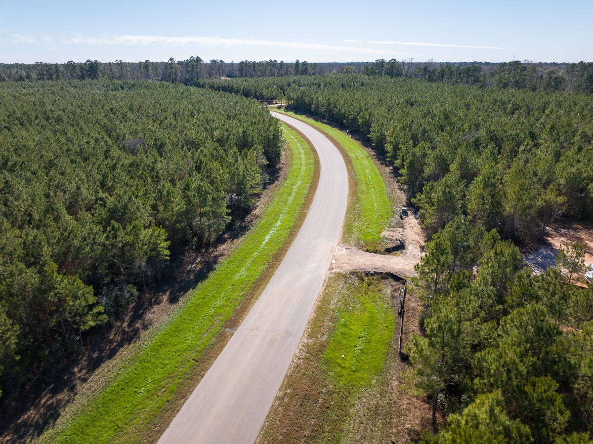 15715 Ridge Rock Road Willis, TX 77378 - Photo 12 of 14