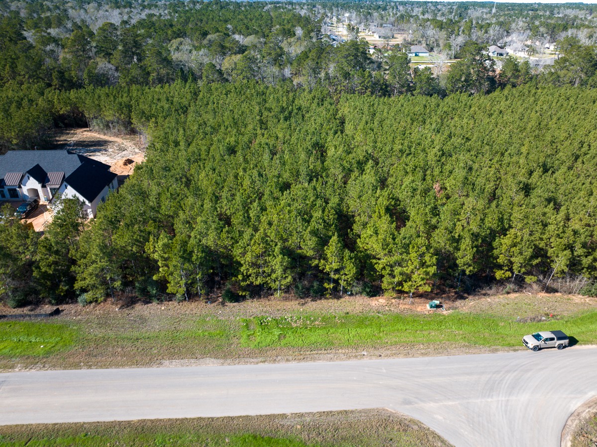 15715 Ridge Rock Road Willis, TX 77378 - Photo 14 of 14