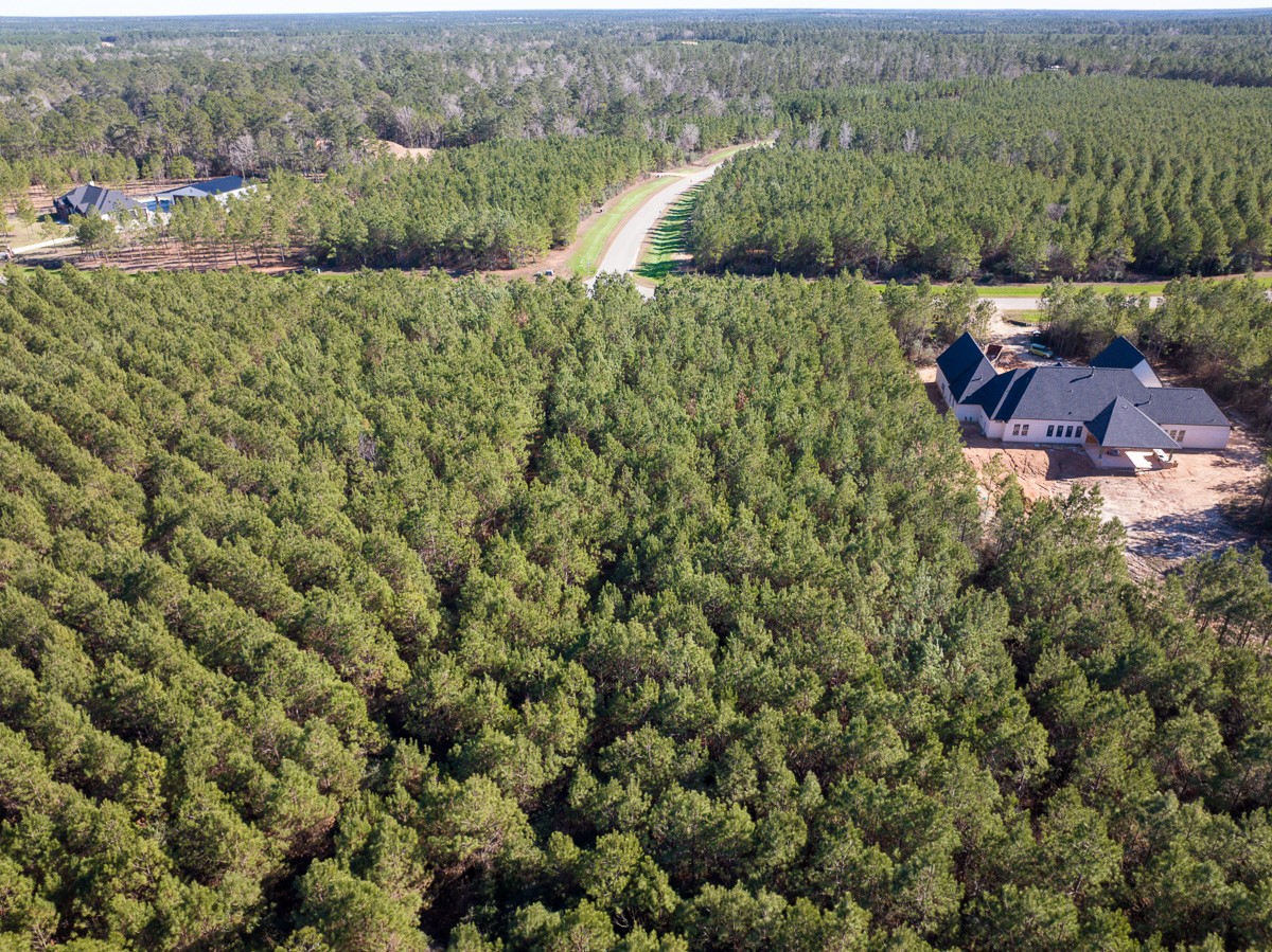 15715 Ridge Rock Road Willis, TX 77378 - Photo 2 of 14