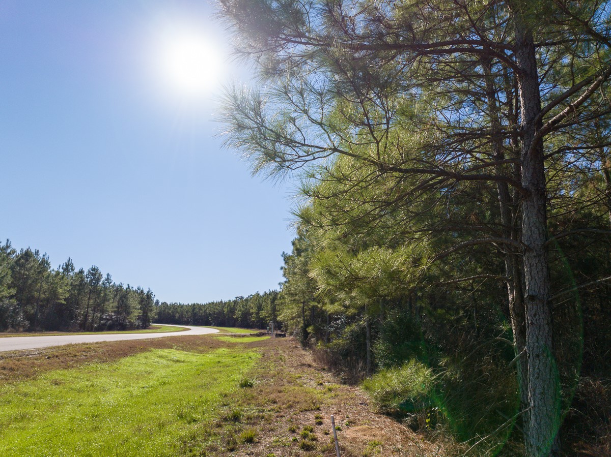 15715 Ridge Rock Road Willis, TX 77378 - Photo 4 of 14