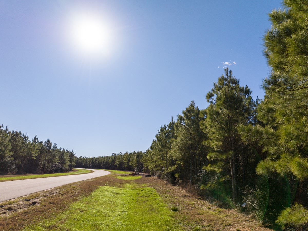 15715 Ridge Rock Road Willis, TX 77378 - Photo 5 of 14