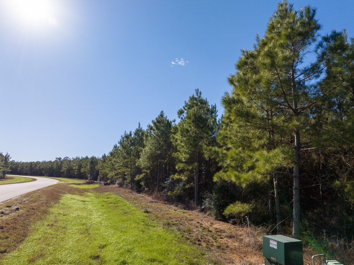 15715 Ridge Rock Road Willis, TX 77378 - Photo 6 of 14