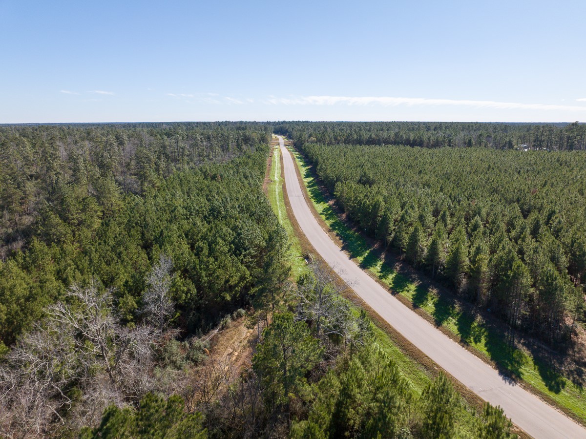 15715 Ridge Rock Road Willis, TX 77378 - Photo 7 of 14