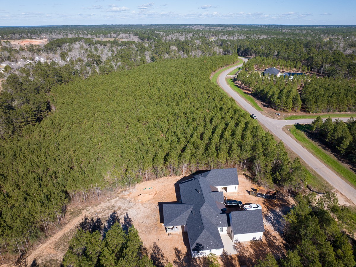 15715 Ridge Rock Road Willis, TX 77378 - Photo 9 of 14