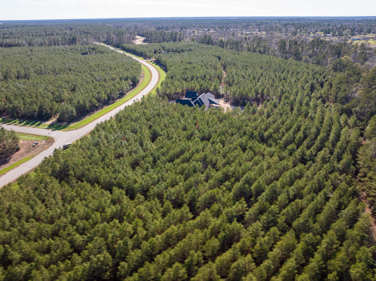 15715 Ridge Rock Road Willis, TX 77378 - Photo 10 of 14