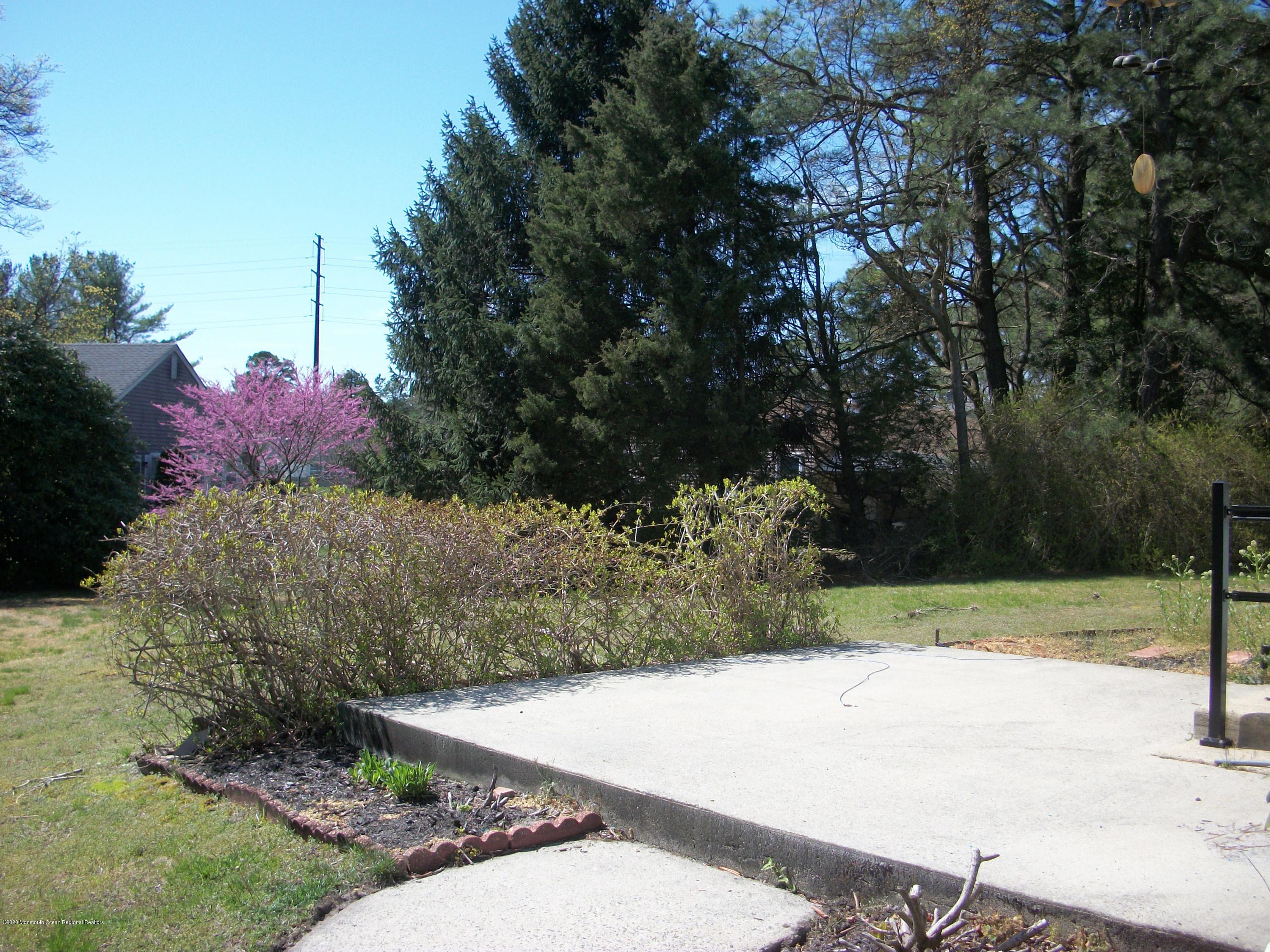 4 Alpine Road Whiting, NJ 08759 - Photo 4 of 37 a view of a backyard