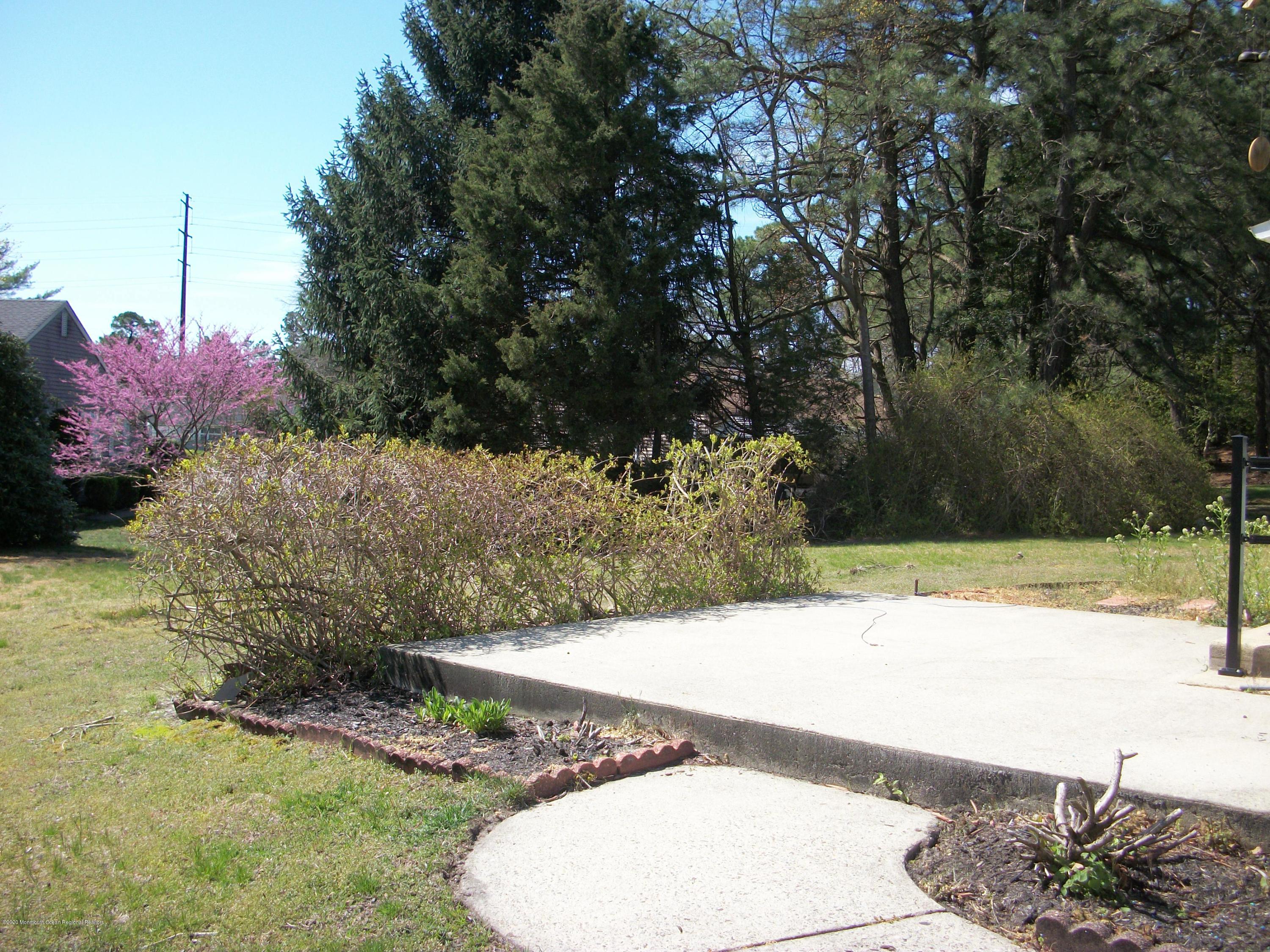 4 Alpine Road Whiting, NJ 08759 - Photo 5 of 37 a view of a yard