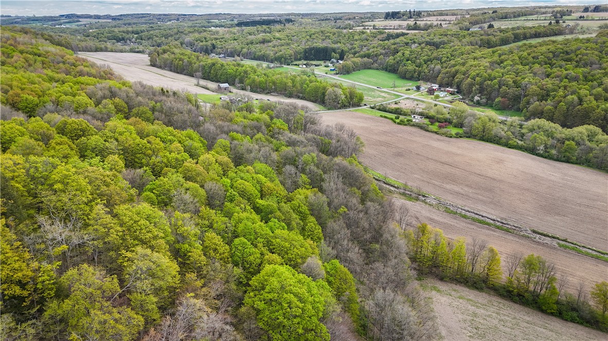 5360 Church Road Moravia, NY 13118 - Photo 31 of 50