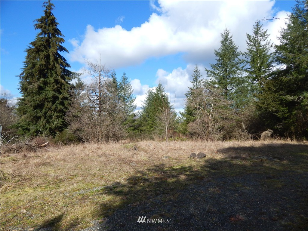 16603 Littlerock Road Southwest Rochester, WA 98579 - Photo 25 of 25 Gallery Image 25