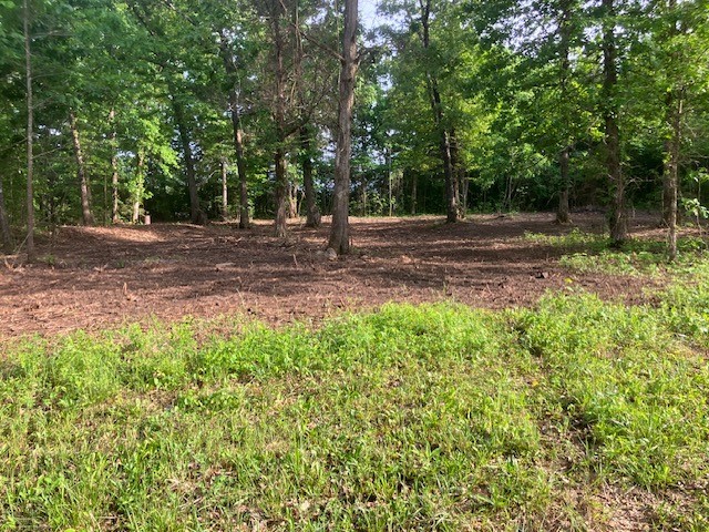 415 Thompson Road Unionville, TN 37180 - Photo 11 of 17 Gallery Image 11
