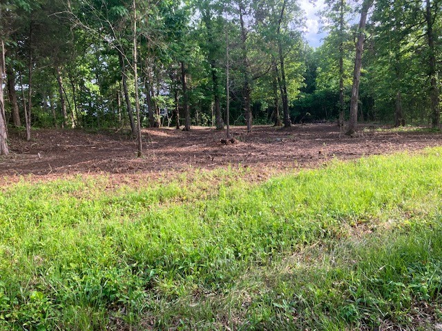 415 Thompson Road Unionville, TN 37180 - Photo 12 of 17 Gallery Image 12