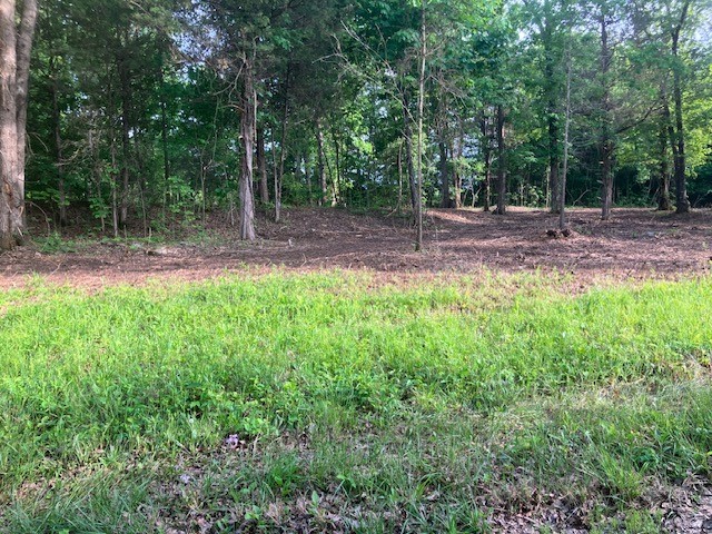 415 Thompson Road Unionville, TN 37180 - Photo 13 of 17 Gallery Image 13